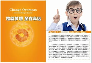 橙至教育咨询 点亮未来之路的专业先锋
